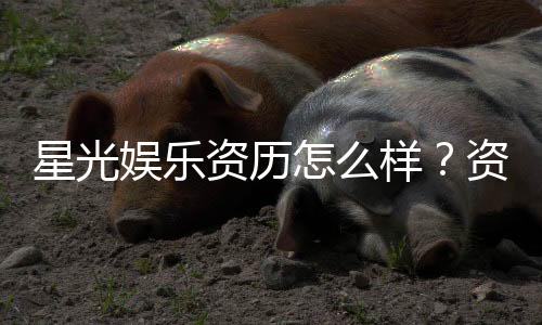 星光娱乐资历怎么样？资深玩家带你了解平台实力与背景