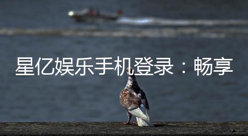 星亿娱乐手机登录：畅享移动端棋牌游戏的极致体验