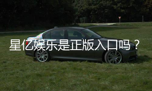 星亿娱乐是正版入口吗?揭秘平台资质与安全玩法指南