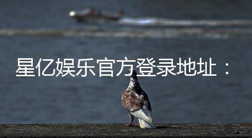 星亿娱乐官方登录地址:畅享顶级棋牌电游的尊贵体验
