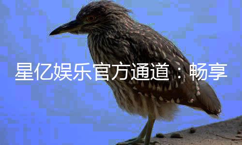 星亿娱乐官方通道：畅享顶级电子游艺的尊贵体验