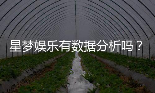 星梦娱乐有数据分析吗?深度解析其数据监测与玩家体验优化