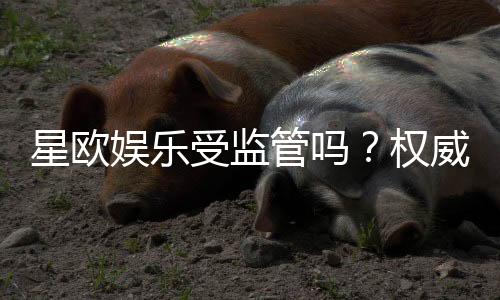 星欧娱乐受监管吗？权威解析其合法性与监管现状