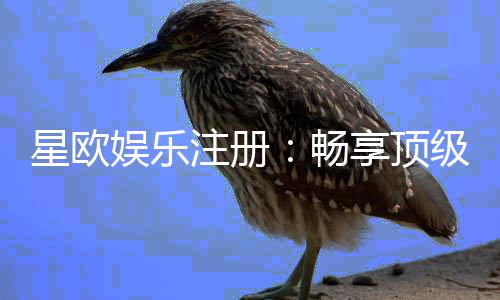 星欧娱乐注册：畅享顶级棋牌游戏与豪华礼遇