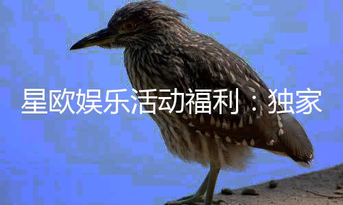 星欧娱乐活动福利:独家优惠与惊喜礼包大放送
