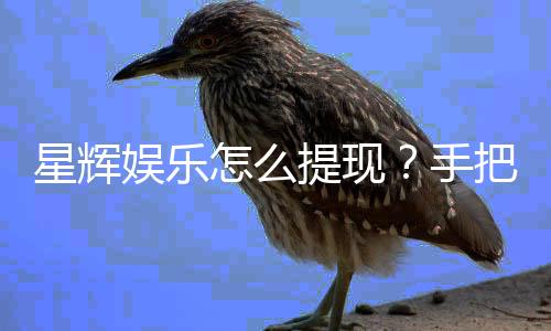 星辉娱乐怎么提现？手把手教你快速到账技巧