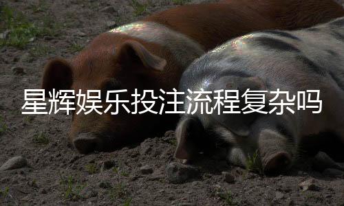 星辉娱乐投注流程复杂吗？三步教你轻松上手