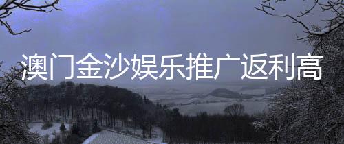 澳门金沙娱乐推广返利高吗?揭秘高额返利背后的真实玩法