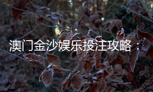 澳门金沙娱乐投注攻略:资深玩家分享稳赢技巧与实战心得