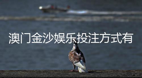 澳门金沙娱乐投注方式有哪些?详解主流玩法与充值技巧