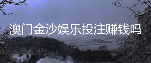澳门金沙娱乐投注赚钱吗？揭秘高胜率玩家的盈利技巧与风险控制