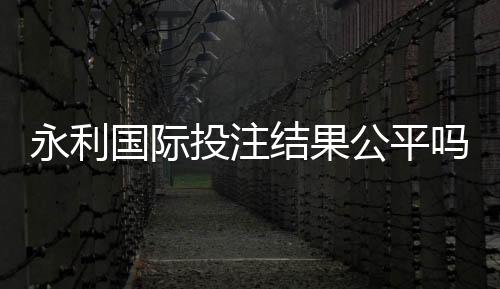 永利国际投注结果公平吗：权威分析解读