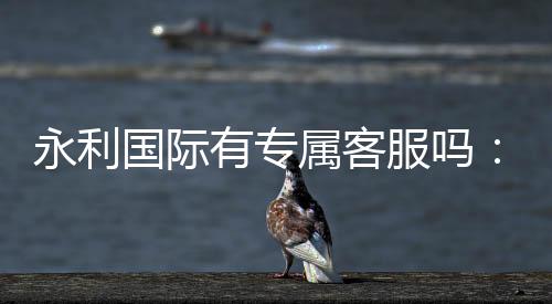 永利国际有专属客服吗：寻找最佳服务体验！