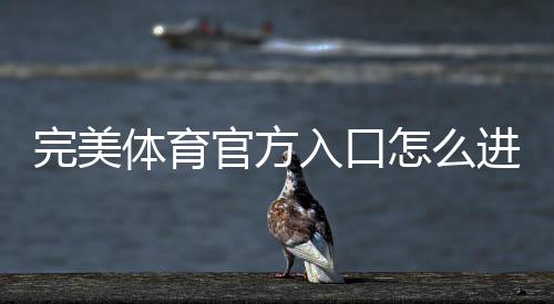 完美体育官方入口怎么进？官方登录地址、验证方法与常见问题解答