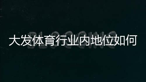 大发体育行业内地位如何？深度解析市场竞争力与发展前景