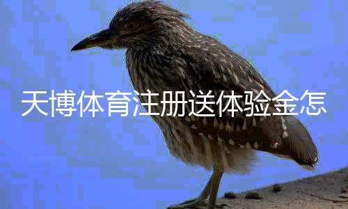 天博体育注册送体验金怎么领取？新手注册、验证与提现流程全攻略