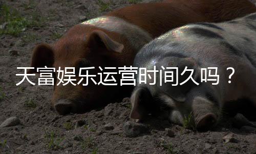 天富娱乐运营时间久吗？资深玩家解析平台历史与稳定性