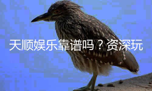 天顺娱乐靠谱吗？资深玩家亲测平台安全性与游戏体验