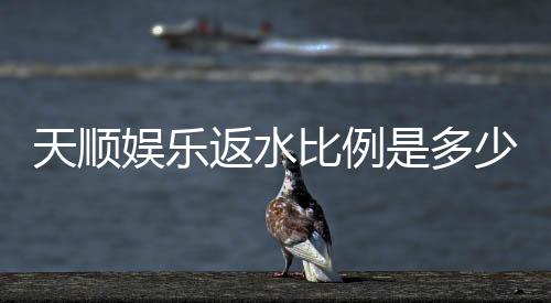 天顺娱乐返水比例是多少？揭秘高返水福利与实战技巧