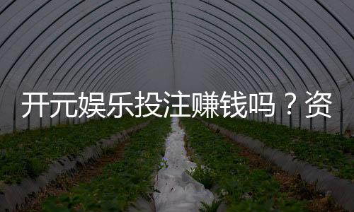 开元娱乐投注赚钱吗？资深玩家揭秘真实盈利技巧与风险