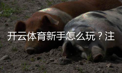 开云体育新手怎么玩?注册、充值、投注与常见玩法全攻略