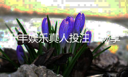 开丰娱乐真人投注:畅享顶级真人荷官与多元投注体验