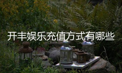 开丰娱乐充值方式有哪些？一文详解各种存款渠道与技巧