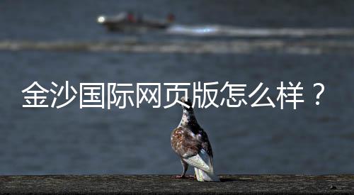 金沙国际网页版怎么样？资深玩家带你全面评测体验