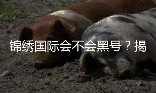 锦绣国际会不会黑号?揭开背后的真相