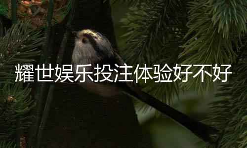 耀世娱乐投注体验好不好？资深玩家亲测真实感受分享