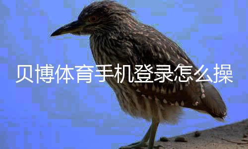 贝博体育手机登录怎么操作？安装注册、账号登录与常见故障快速解决
