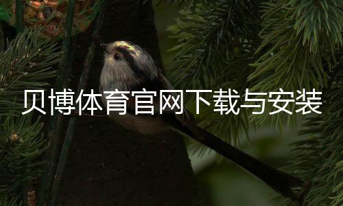 贝博体育官网下载与安装教程：官网入口、安卓iOS安装步骤及常见问题