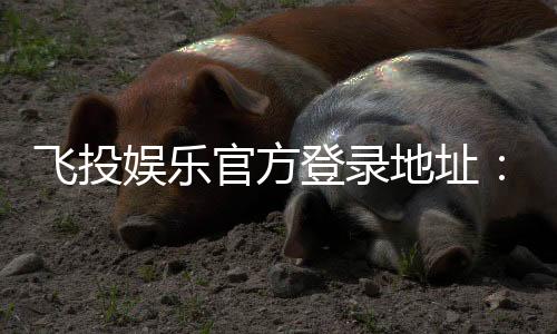 飞投娱乐官方登录地址：安全便捷的一站式游戏入口指南