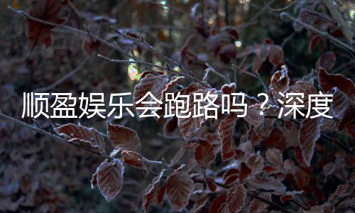 顺盈娱乐会跑路吗?深度解析平台安全性与玩家资金保障