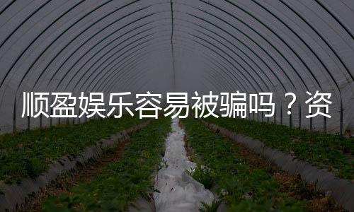 顺盈娱乐容易被骗吗？资深玩家揭秘防骗技巧与平台安全性