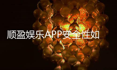 顺盈娱乐APP安全性如何?深度解析平台保障措施与玩家体验