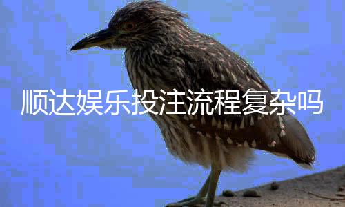 顺达娱乐投注流程复杂吗？3分钟带你轻松搞定全步骤