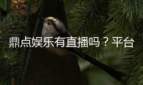 鼎点娱乐有直播吗?平台真人直播玩法全解析