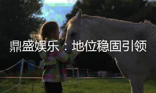 鼎盛娱乐:地位稳固引领行业潮流