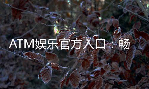 ATM娱乐官方入口：畅享顶级棋牌电游的尊贵体验