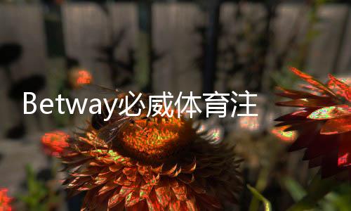 Betway必威体育注册流程详解：新手快速开户步骤与注意事项
