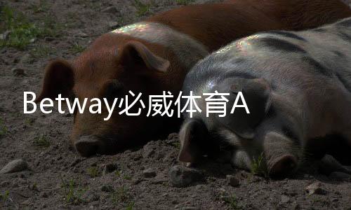 Betway必威体育APP官方下载通道攻略：官方直链、安全安装与常见问题一览