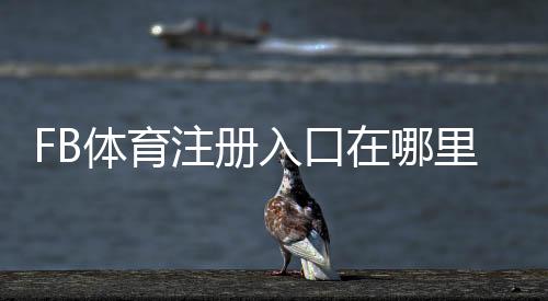 FB体育注册入口在哪里?官方注册流程图文教程与常见问题解答
