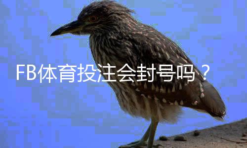 FB体育投注会封号吗?封号原因、风险评估与实用防封技巧