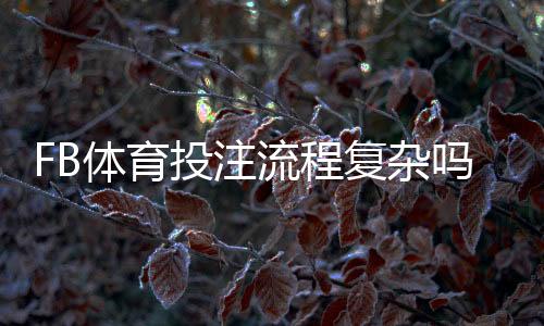 FB体育投注流程复杂吗？新手必看：注册、充值与投注全流程详解