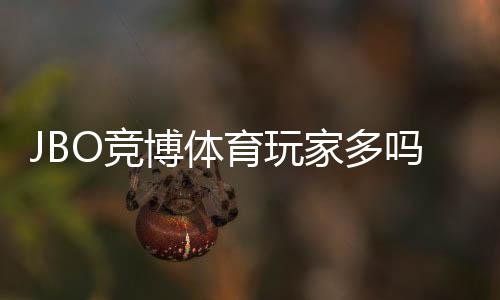 JBO竞博体育玩家多吗？真实用户规模与活跃度全面解析