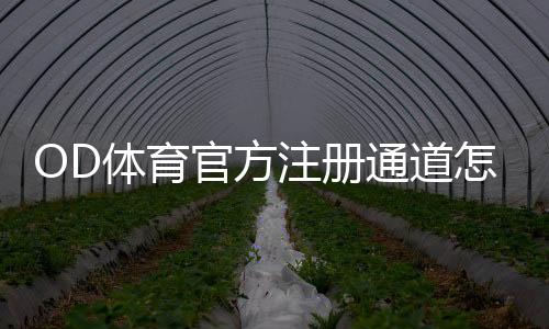 OD体育官方注册通道怎么进？完整注册流程、新手图文教程与常见问题解答