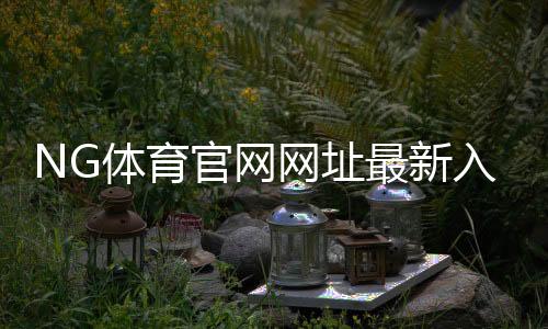 NG体育官网网址最新入口：官方登录教程、新手指南与安全使用注意事项