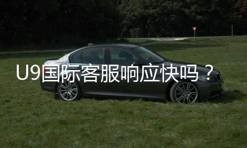 U9国际客服响应快吗？响应速度、处理效率与快速联系攻略全解析