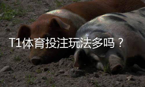 T1体育投注玩法多吗?玩法种类、规则与新手投注攻略一文看懂
